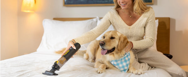 Pocket Power Car Vacuum