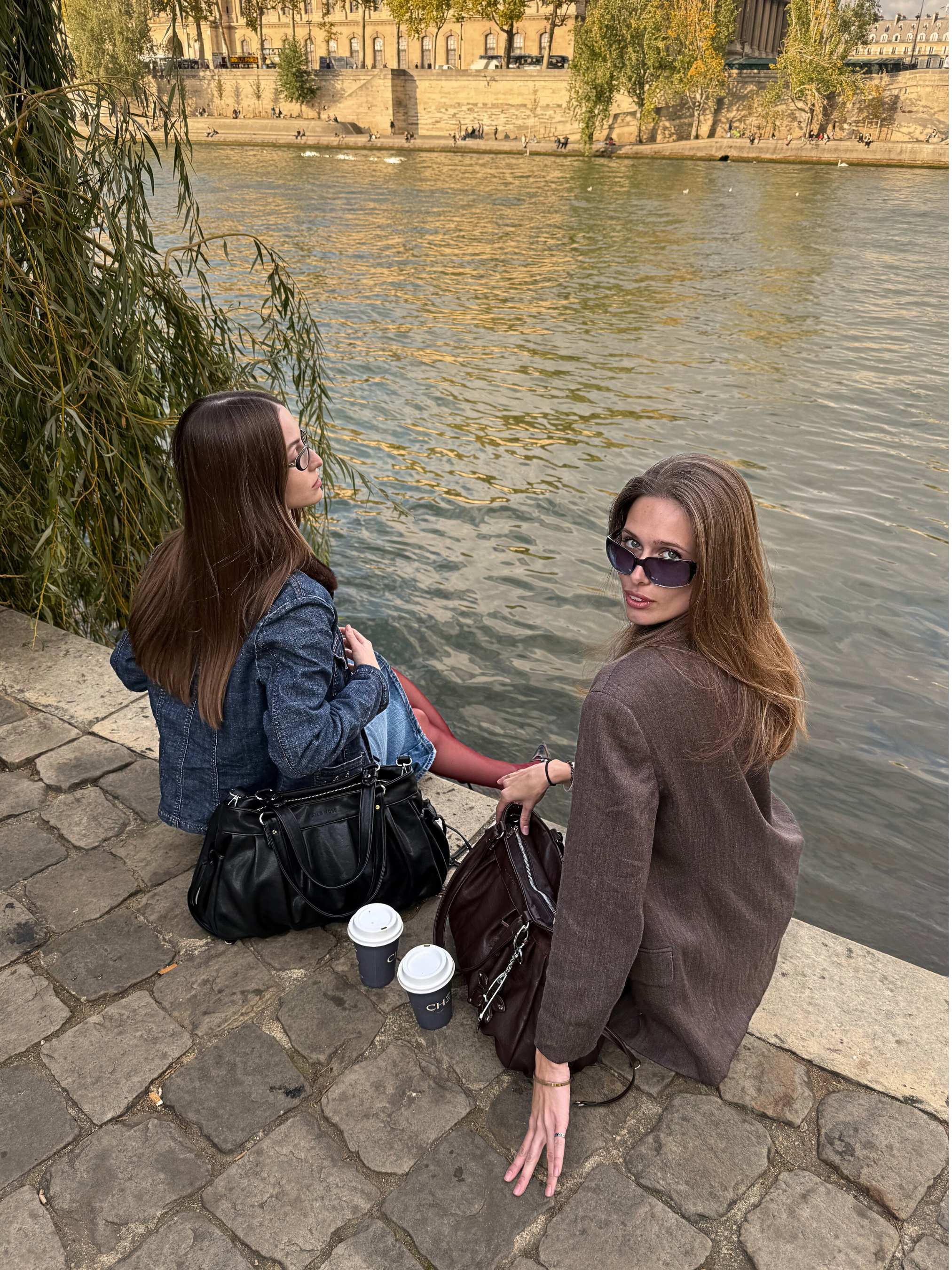 Helena Everyday Commuter Satchel Bag